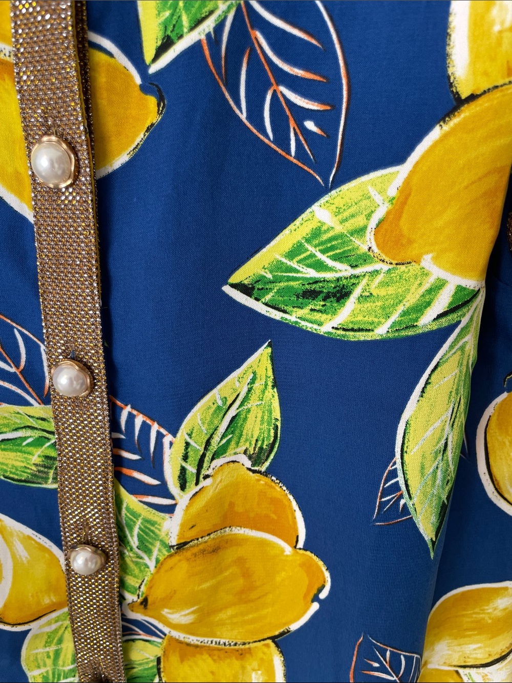The Moon Blue Lemon-Print Short Sleeve Blouse with Metallic Trim - Picture 6 of 8